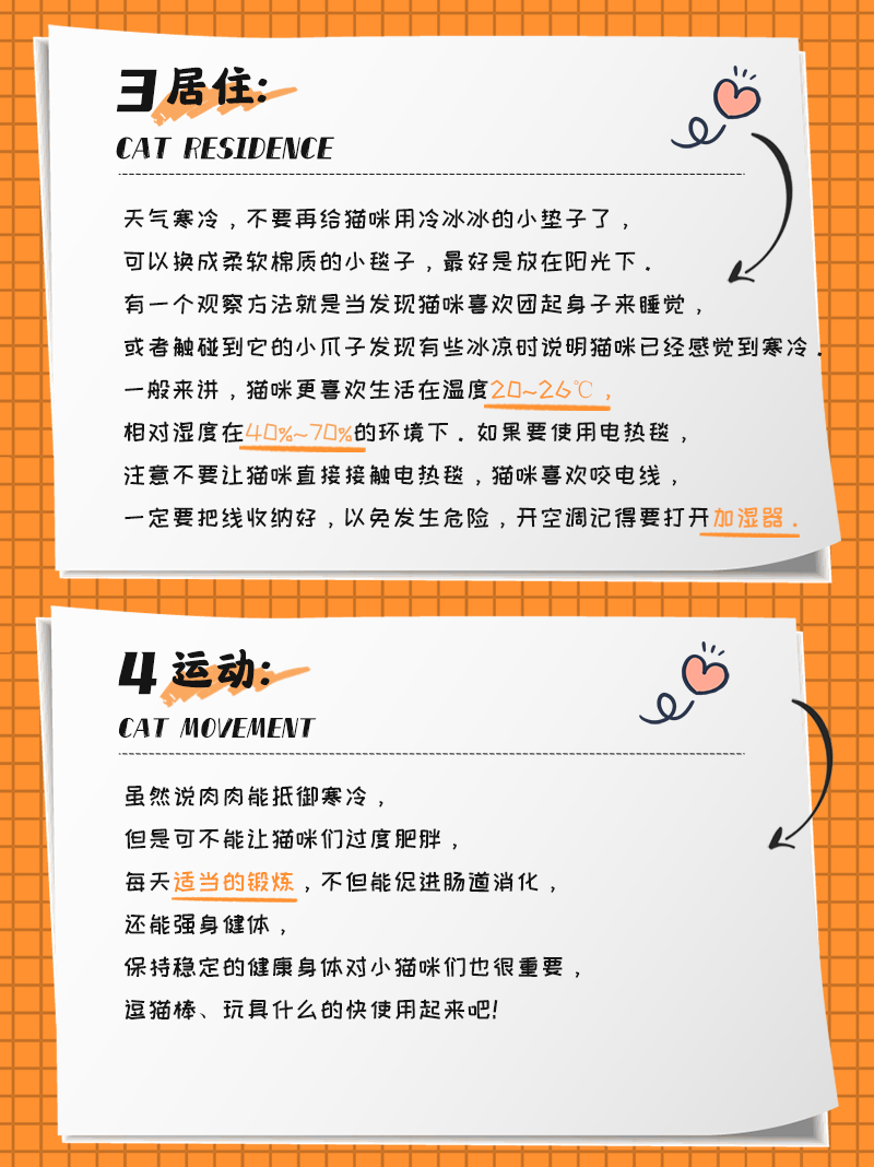 秋冬猫咪的吃穿住行，保姆级干货分享